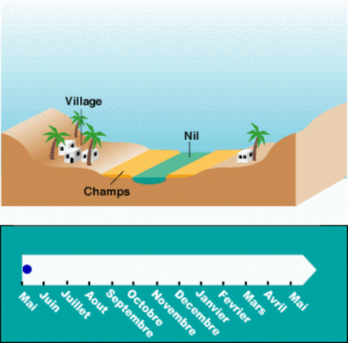 Sistemas de Irrigación