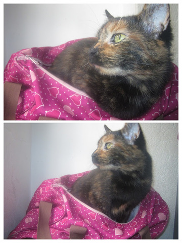 5500 °K - Luz del día (flash)