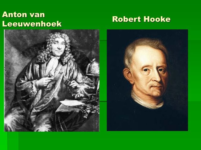 Invención del Microscopio (Robert Hooke)