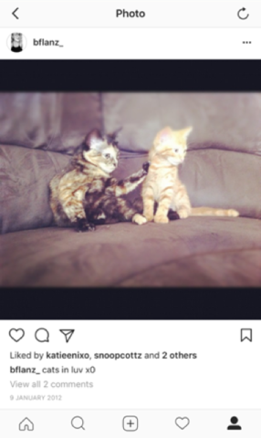 Writing Tool: Photos