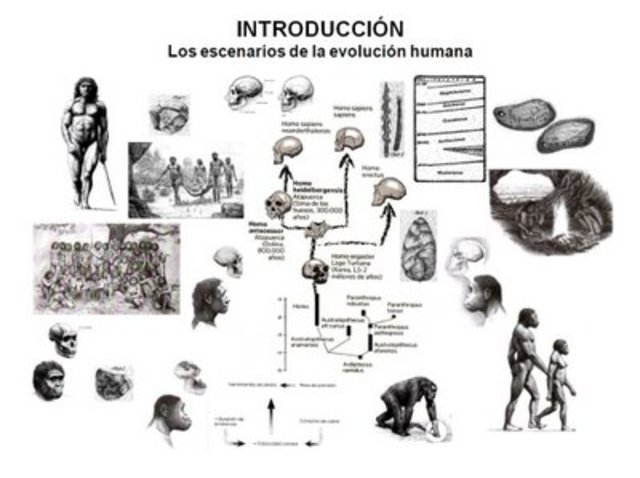 EL APRENDIZAJE Y LA EVOLUCIÓN HUMANA