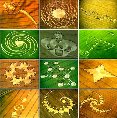 Los círculos de la cosecha