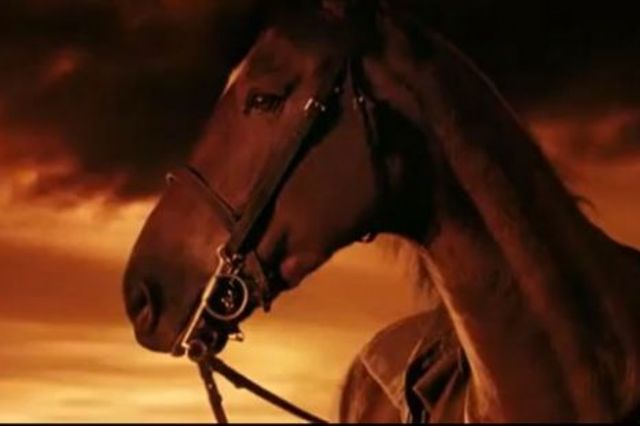 Joey escaped from the military