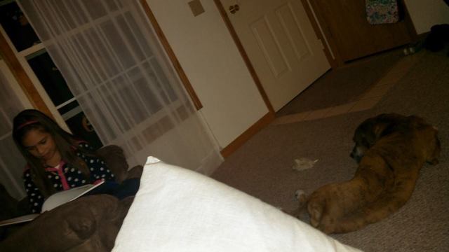 Teaching Hailey to Read