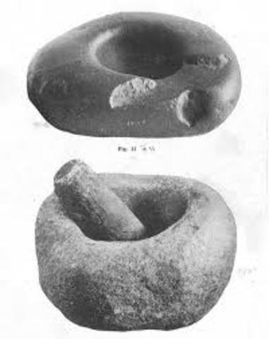 Agricultura y ganadería