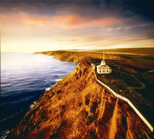 Vikings visited coastline of Newfoundland