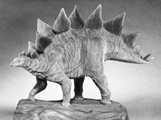 Stegosaurus