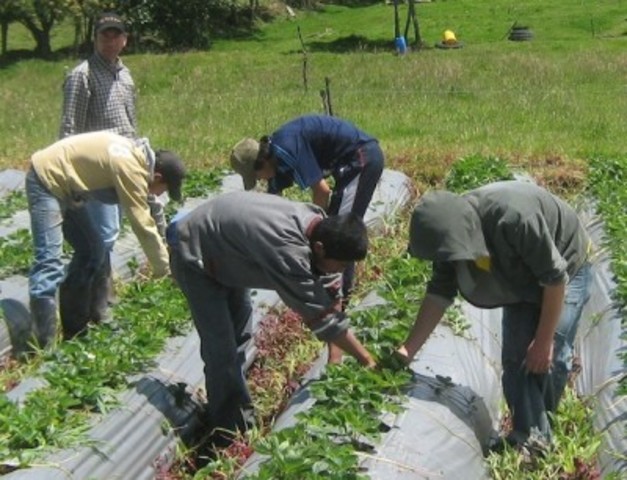 Educación para los campesinos en la época feudal