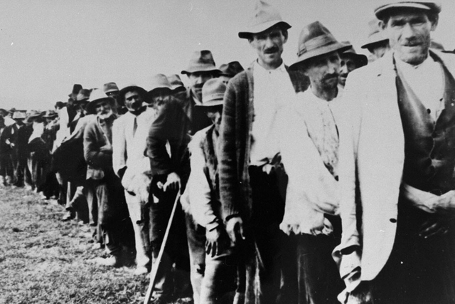 Esterilización e castración de xitanos