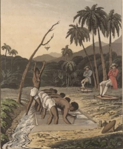 Gold Discovered in Brazil