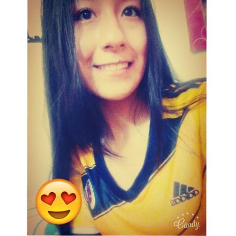 selebracion de partidos