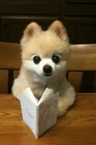 Reading Independently