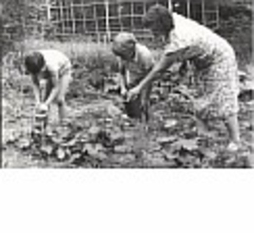 Природа - наш лучший друг.