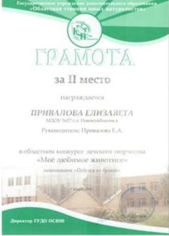 Достижения воспитанников