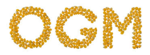 Organismos genéticamente modificados (OGM)