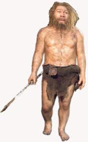 Homo Sapiens Sapiens