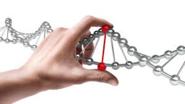 A Mutáció Fogalmának Megjelenése