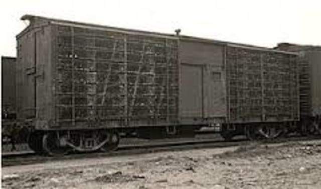 Lina, Jonas, and Elena are shoved onto the cattle cars where they will spend most of their time in for over a decayed