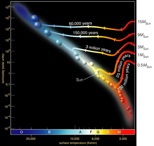 Main sequence stars (no soy lattes here ya hipsters)