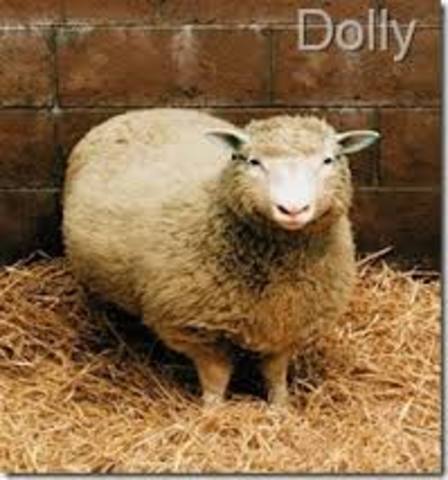 Clonación oveja Dolly