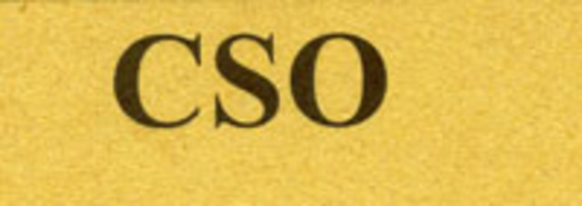 Community Service Organizaion