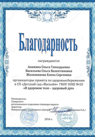 Благодарность Аникиной О.Г., Васильевой О.В., Железняковой Е.С.