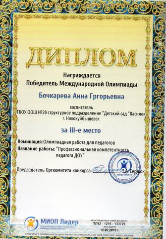 Диплом Бочкаревой А.Г.