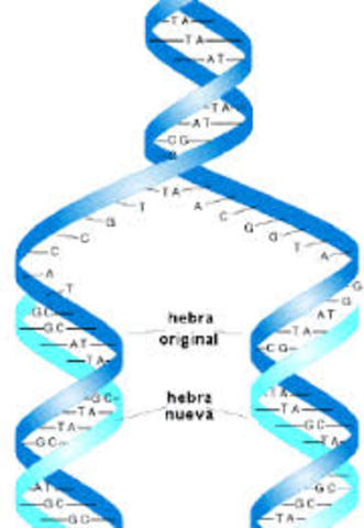 Replicación semiconservativa