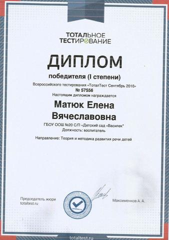 Диплом Матюк Е.В.