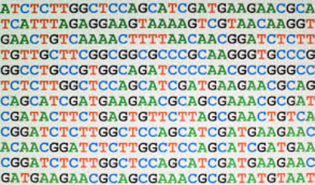 Se secuencia el genoma completo de un organismo vivo.