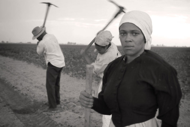 cornelia ancillas observat.