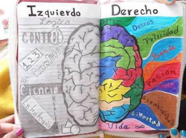 Desequilibrio en la dominación cerebral
