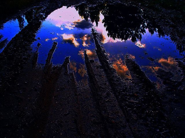 27th First Seed/5E 325 at 04:38 AM