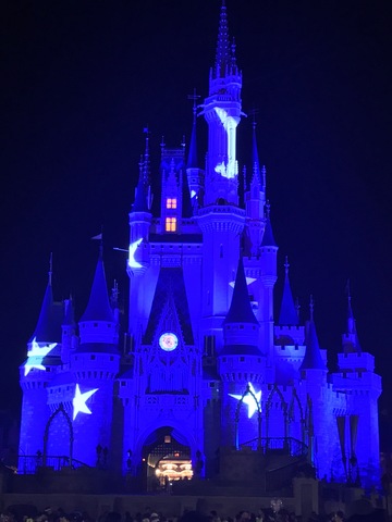 Disney World