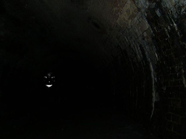 Things start to appear