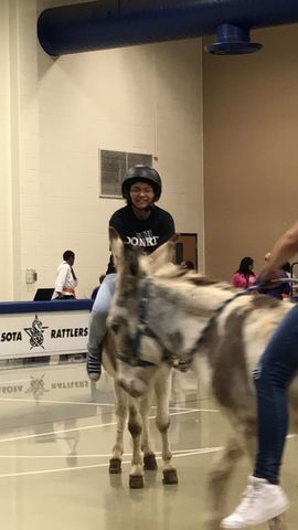 donkey basketball