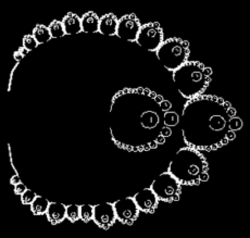 Invention du mot fractale