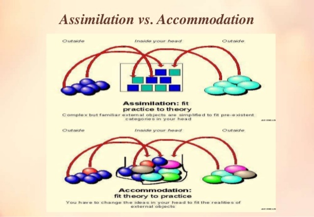 Assimilation and Accomodation