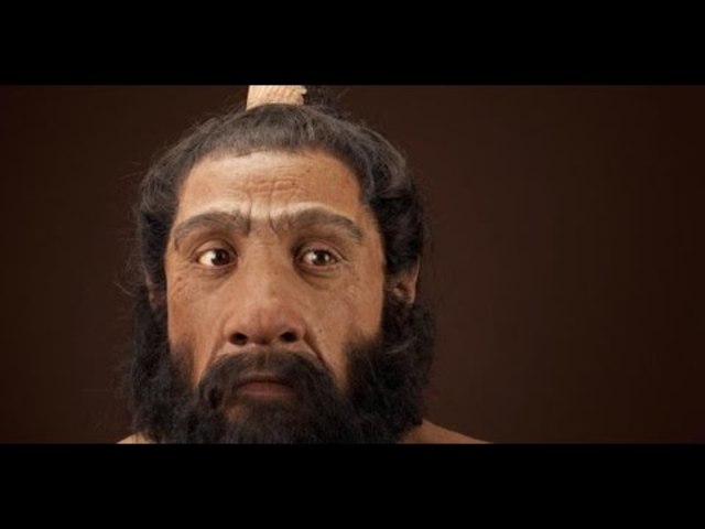 Homo neanderthalensis
