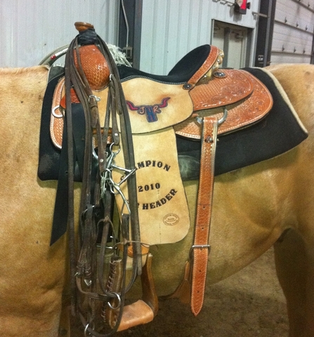 I won my first Saddle