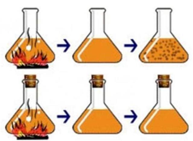 Experimento de spallanzani