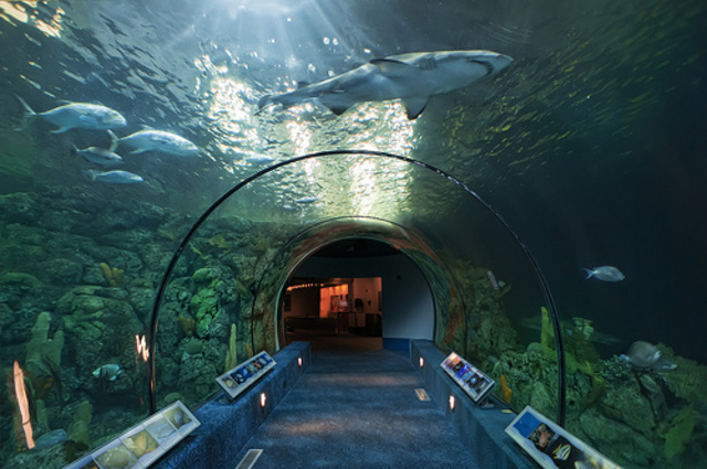 "Moody garden" field trip