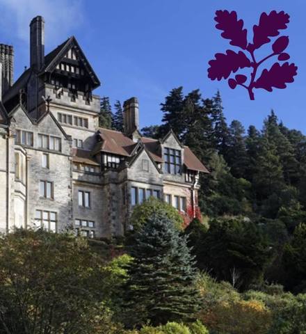 Day Trip around Northumberland for International Customers