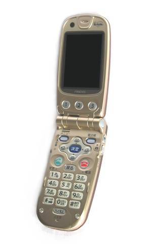 Flip Phone introduced
