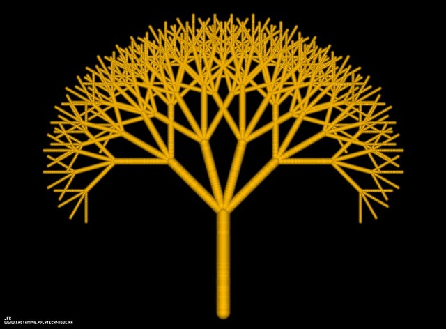 Notion  d'auto similarité par Leibniz