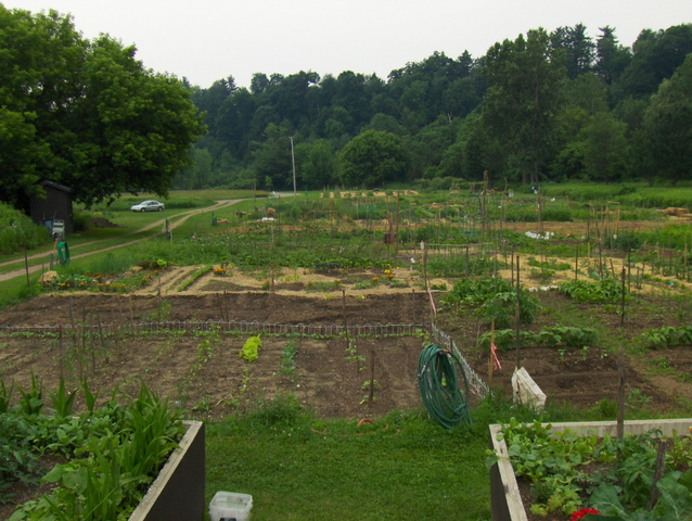 Homestead Act provided for people to establish homestead and land plots