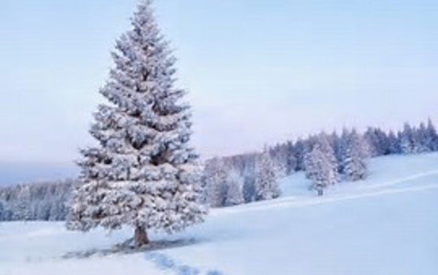 "The Freeze" Commences