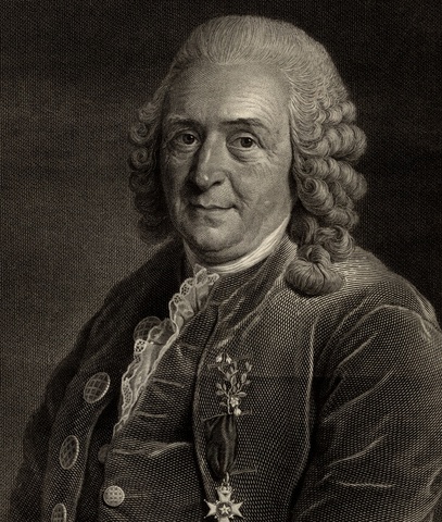 Escritura BInomial de las Plantas