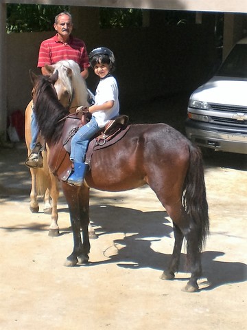 Mi primera montada a caballo