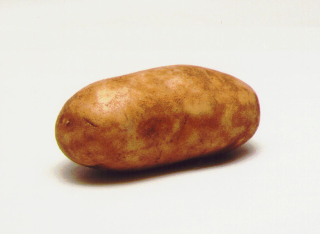 Irish Potato Famine